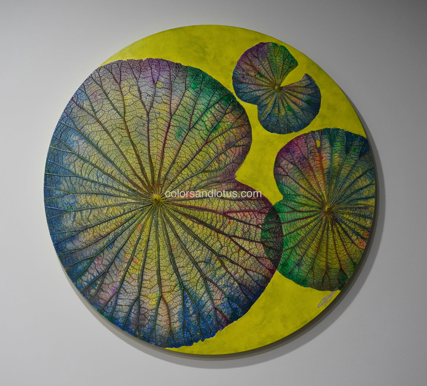 Lotus round painting diameter 70 cm