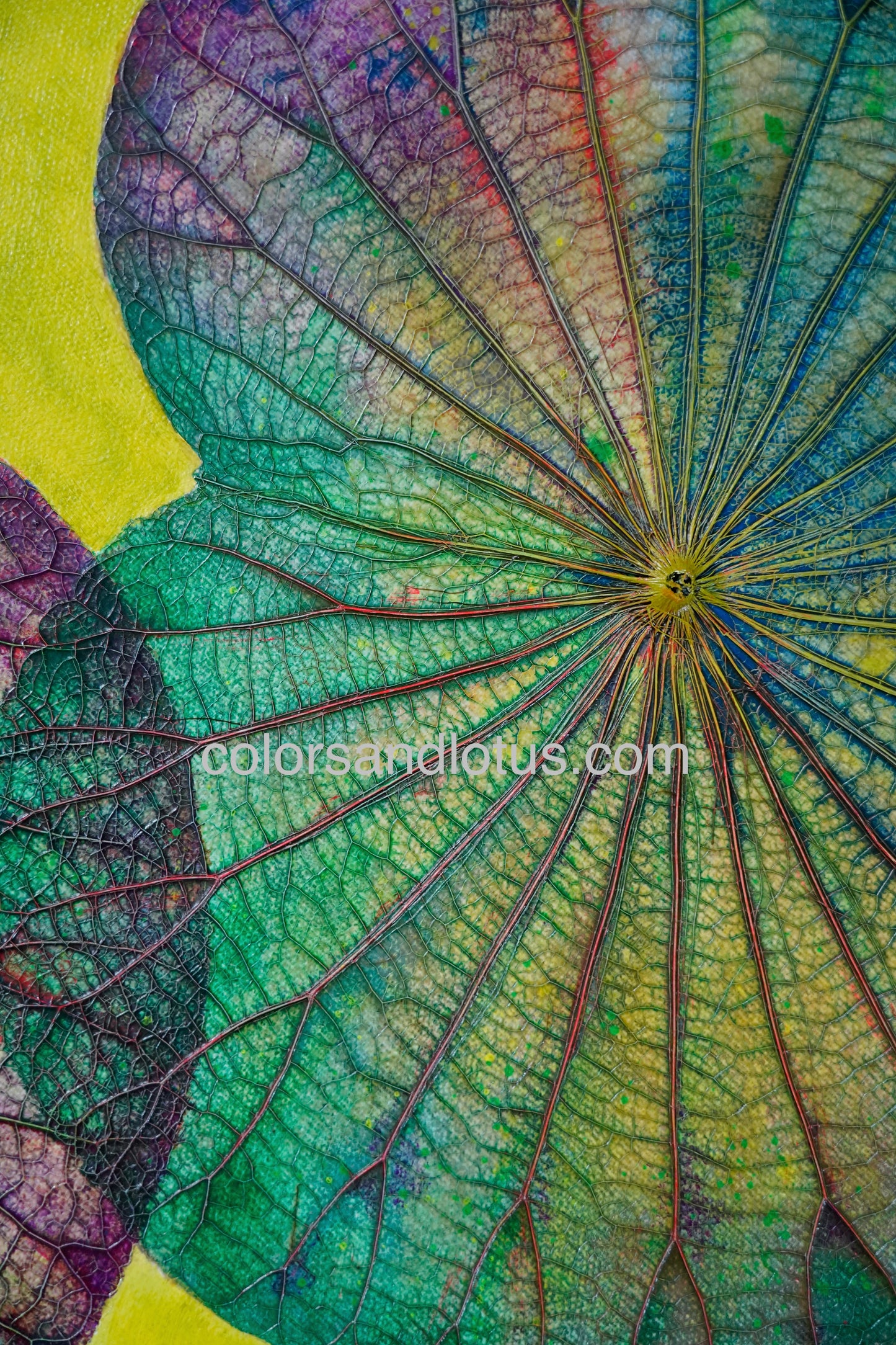 Lotus round painting diameter 70 cm