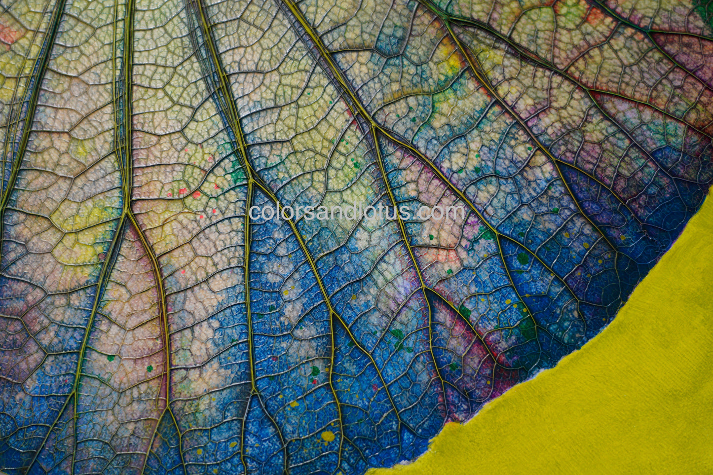 Lotus round painting diameter 70 cm