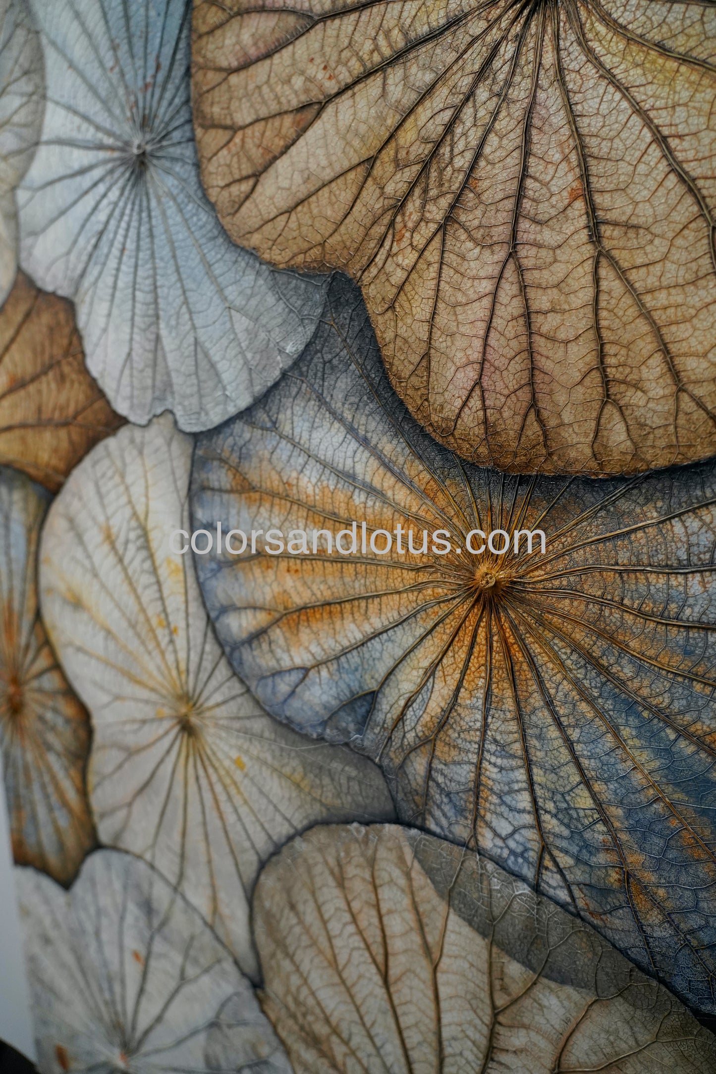 Lotus painting 70 cm x 100 cm