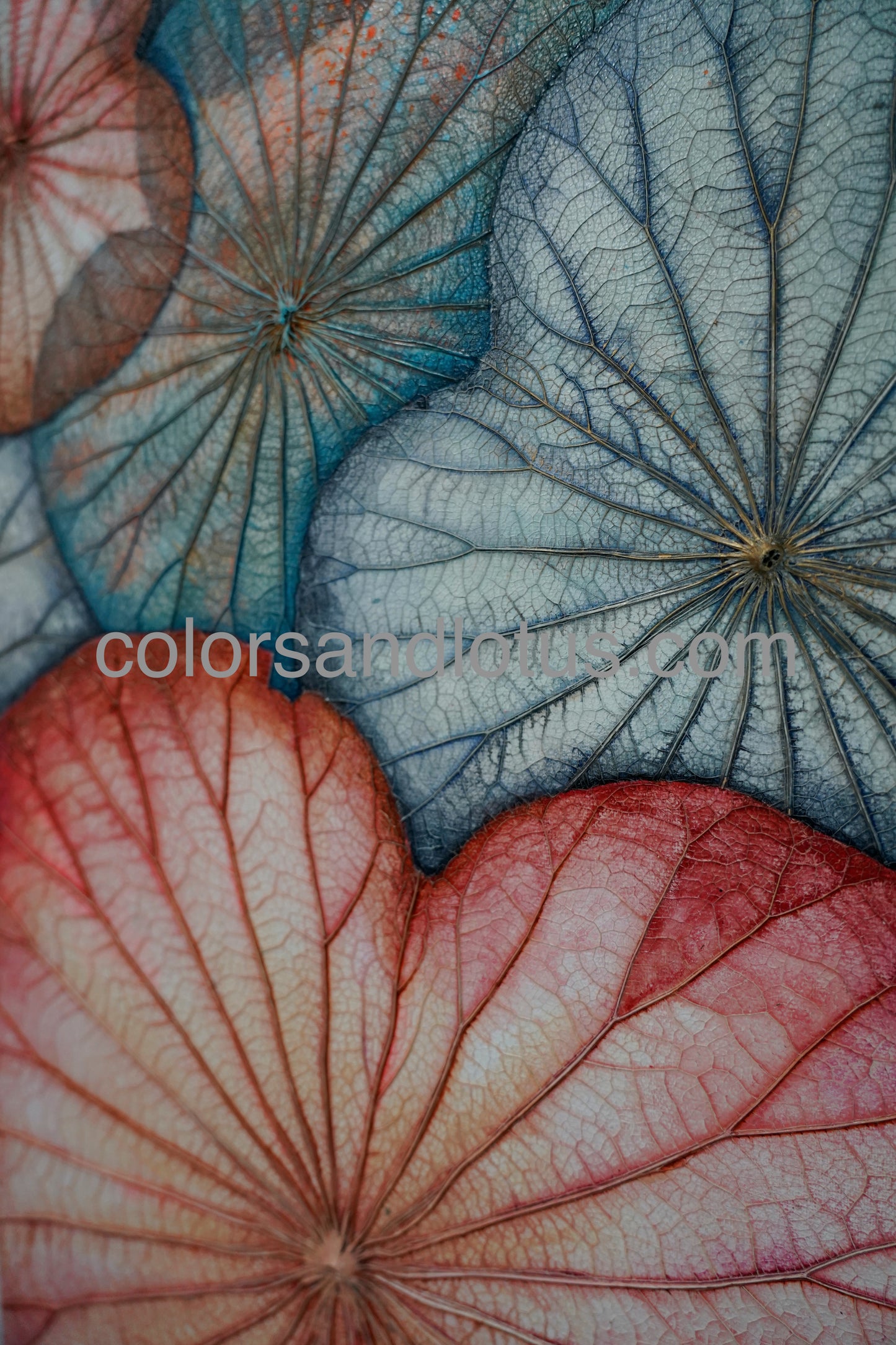 Lotus painting 40 cm x 120 cm
