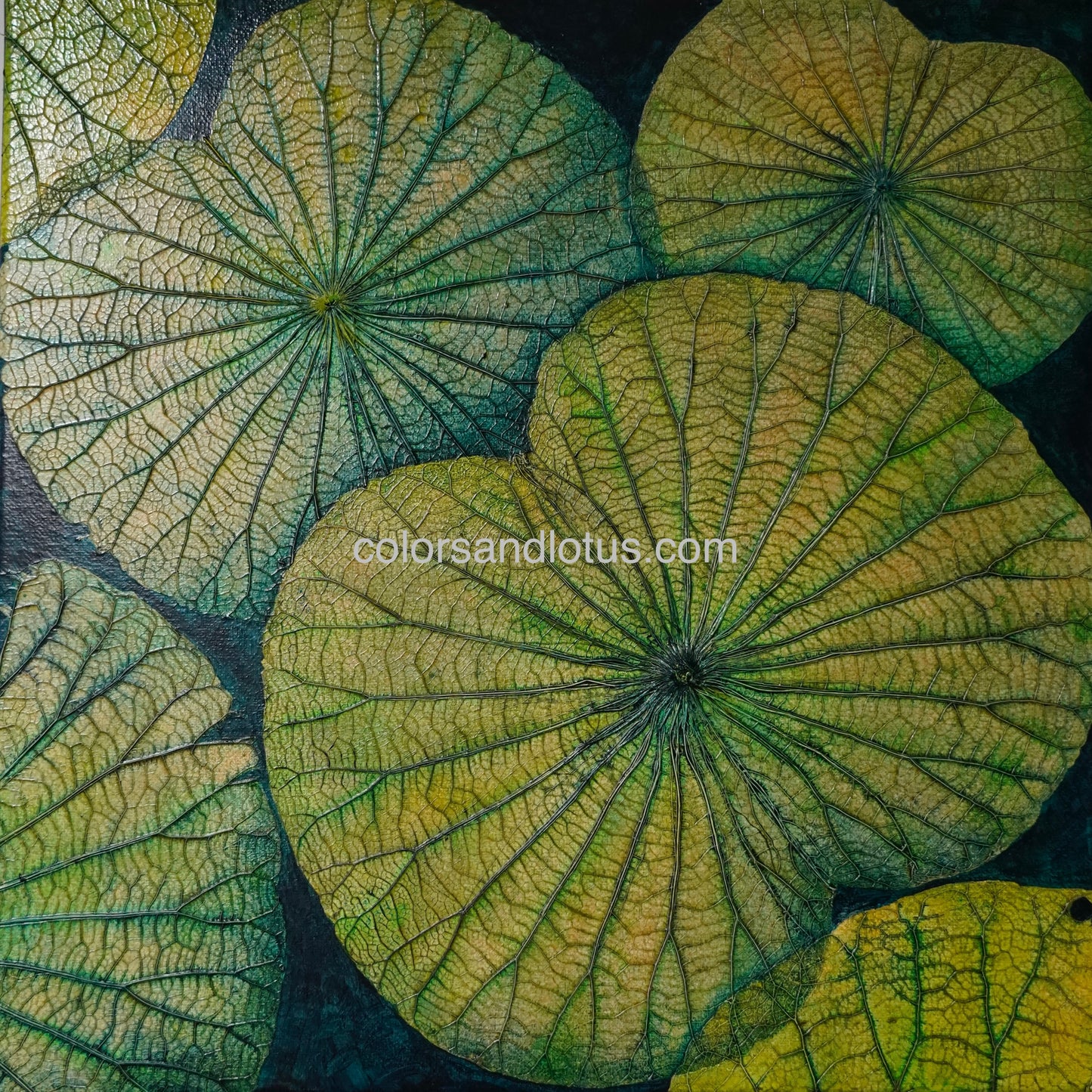Tableau Lotus 40 cm x 40 cm vert