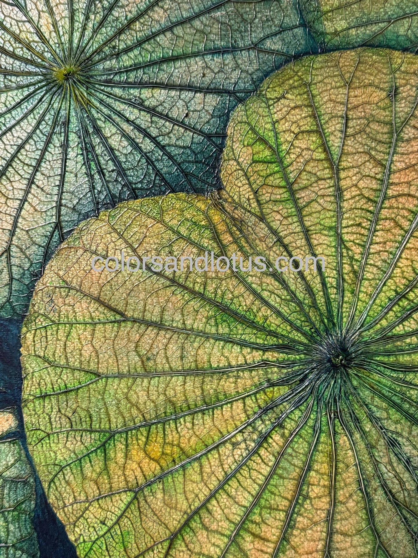 Tableau Lotus 40 cm x 40 cm vert