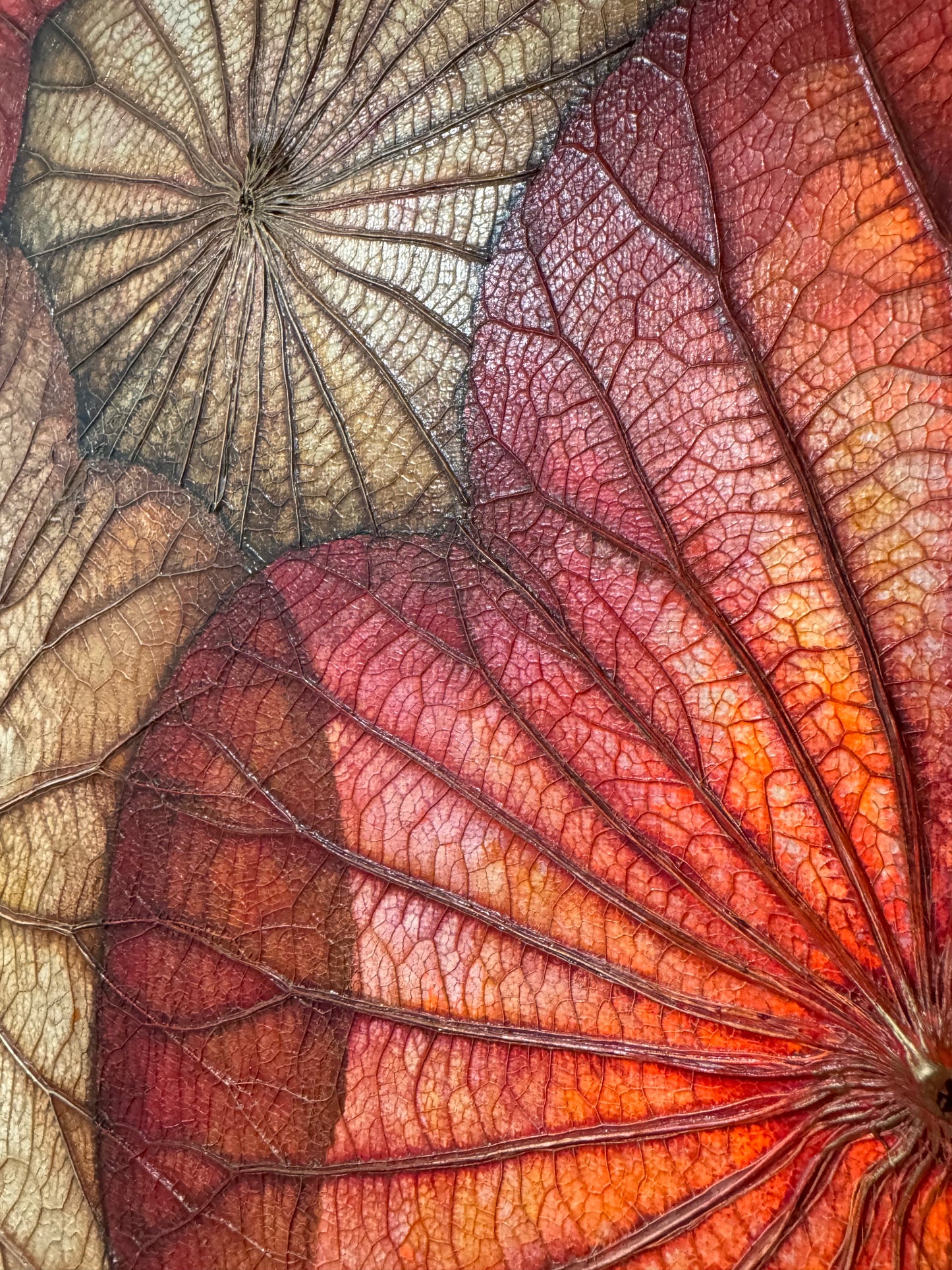 Lotus painting 40 cm x 40 cm red