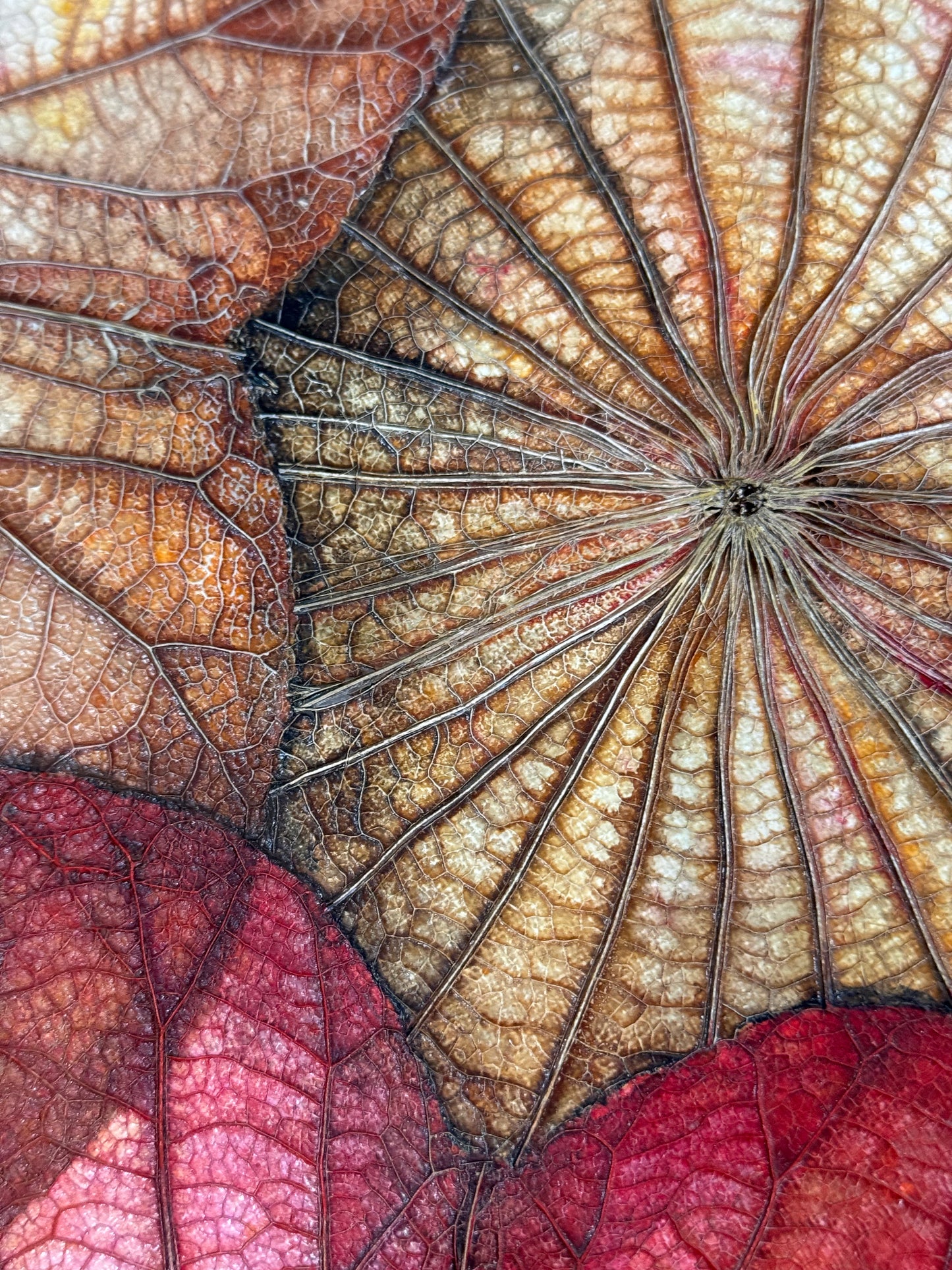 Lotus painting 40 cm x 40 cm red