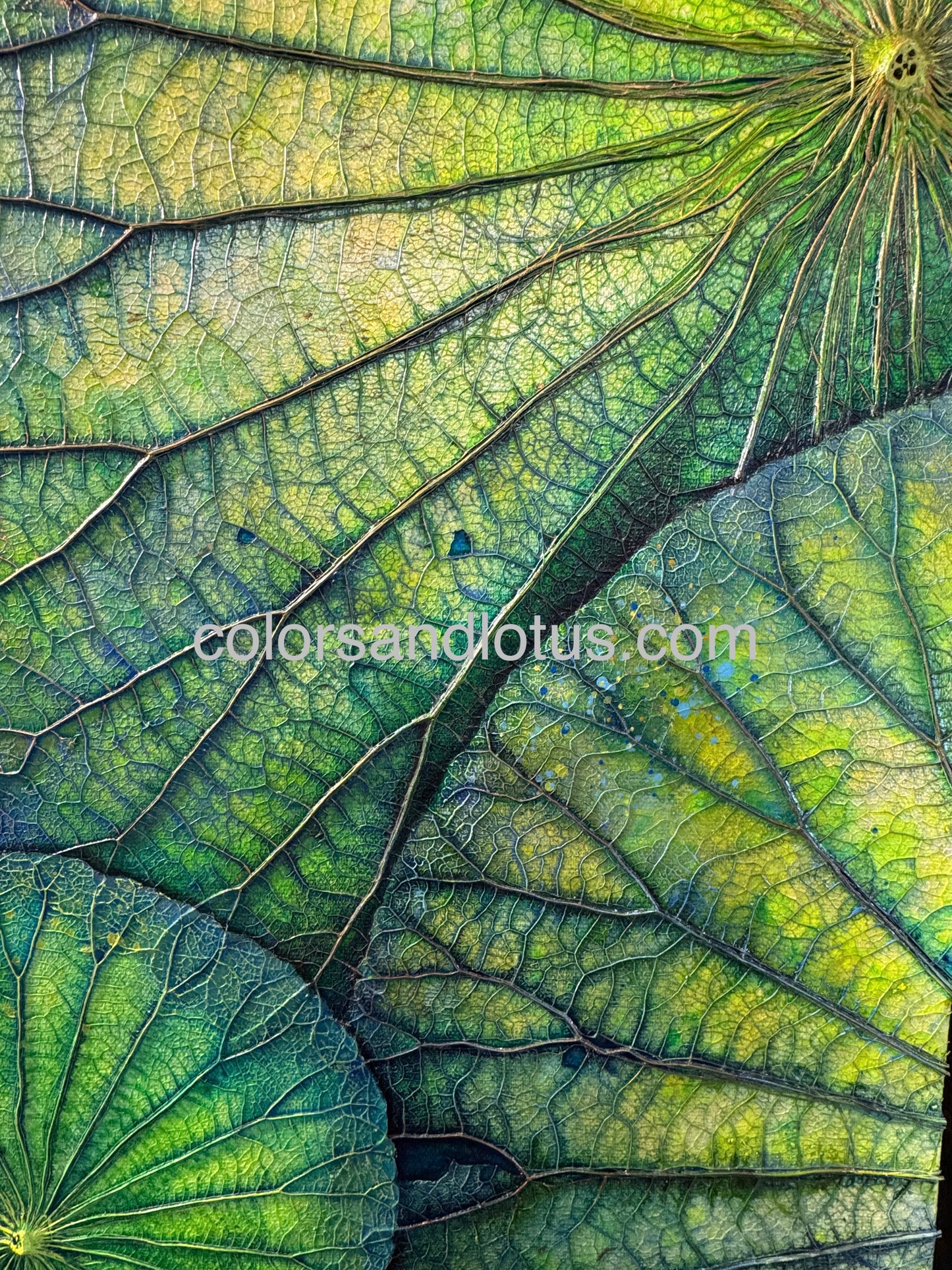Lotus painting 70 cm x 100 cm